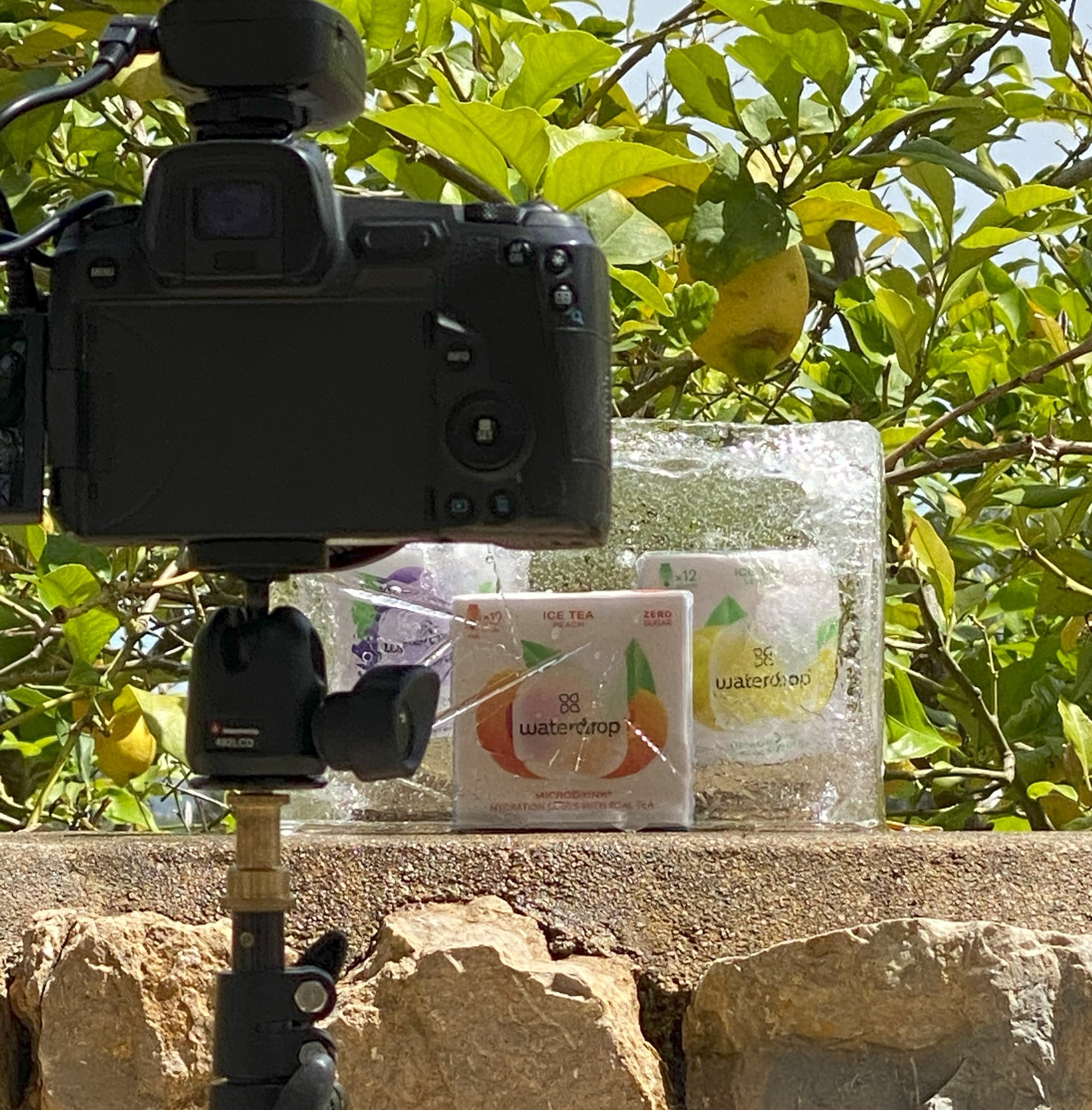 THÉ GLACÉ : les coulisses