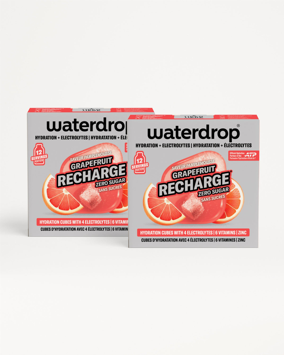 Double Pack Microlyte RECHARGE