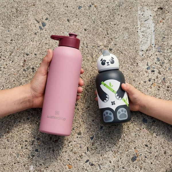 Gourdes et Bouteilles pour l'école : 7 points clés