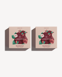 1+1 FRUIT FUSION