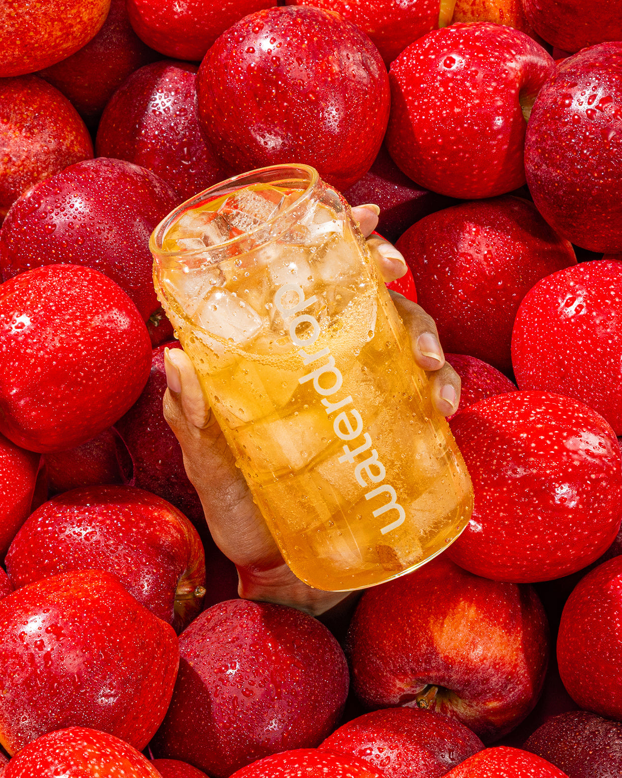 Coffret Pomme pétillante in elegant glass jar.