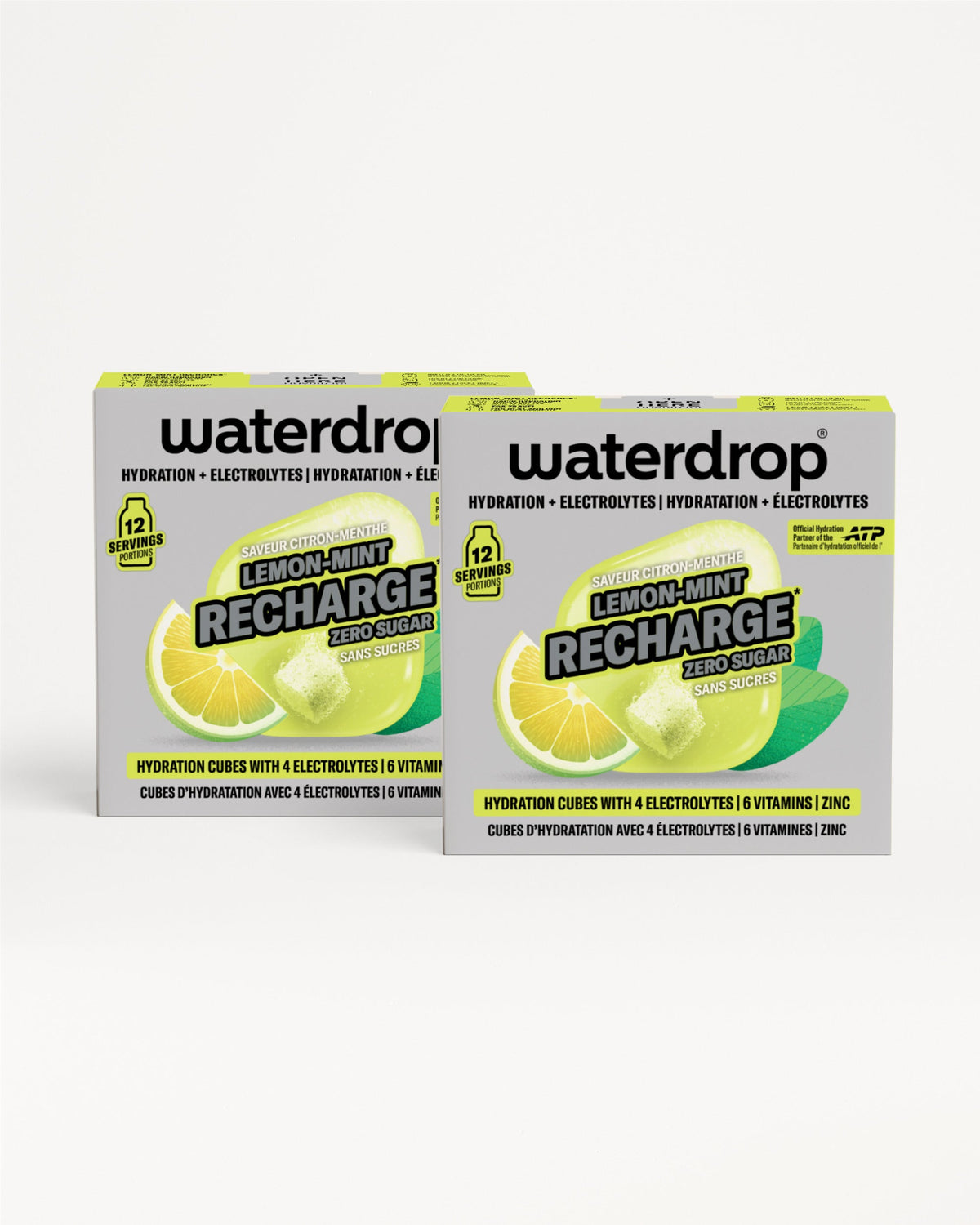 Double Pack Microlyte RECHARGE