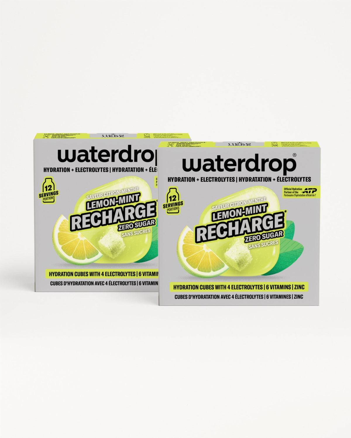 Double Pack Microlyte RECHARGE