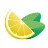 CITRON-MENTHE RECHARGE
