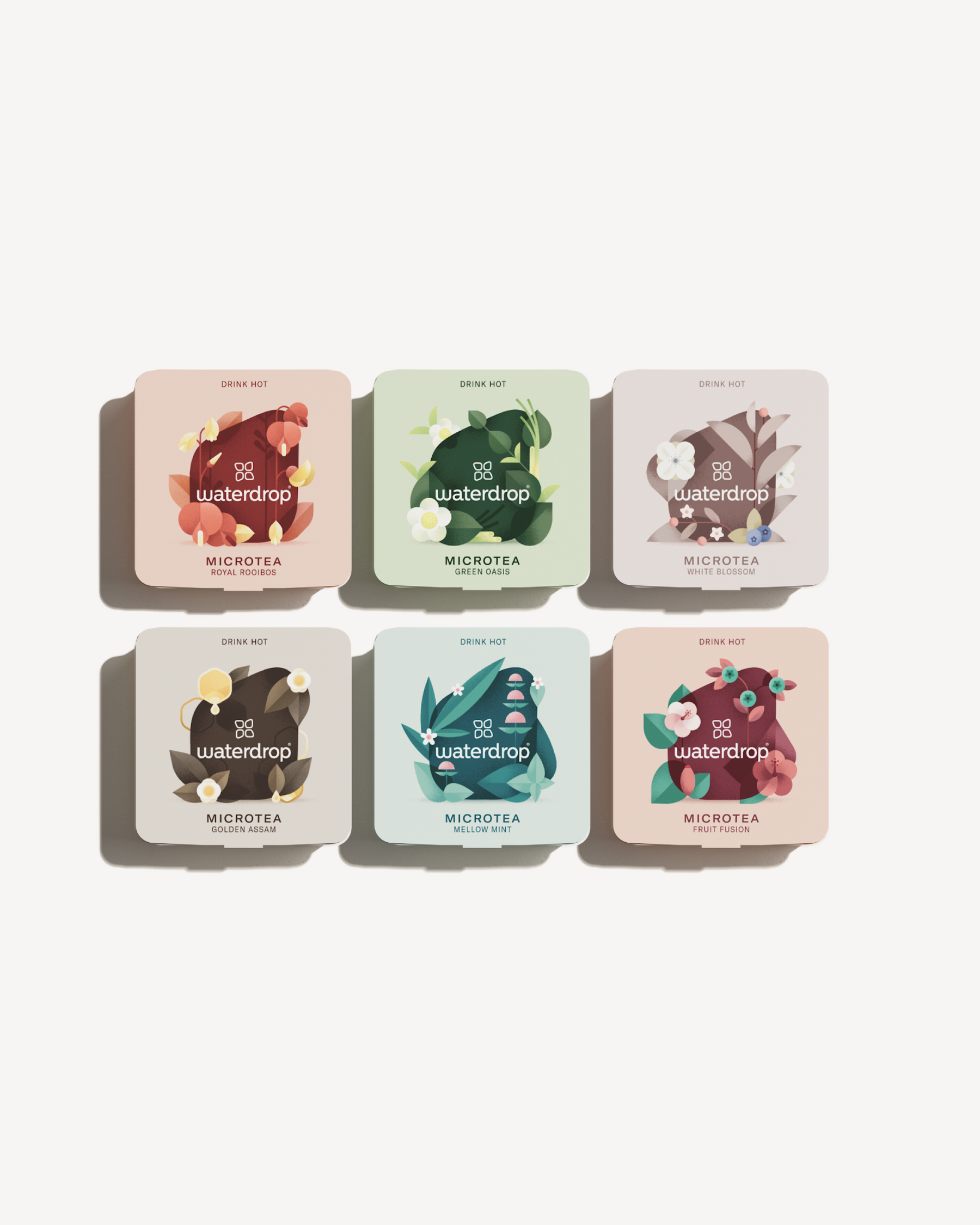 Coffret Découverte Microtea