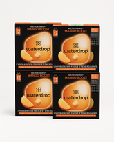 Microenergy BOOST 3+1