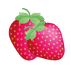 FRAISE RECHARGE
