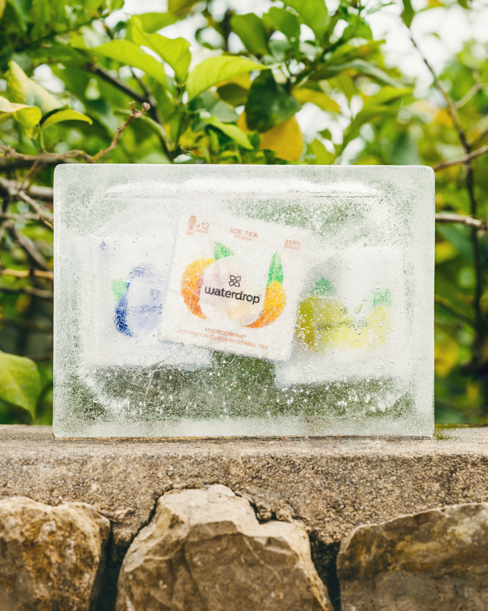 Coffret Trio THÉ GLACÉ