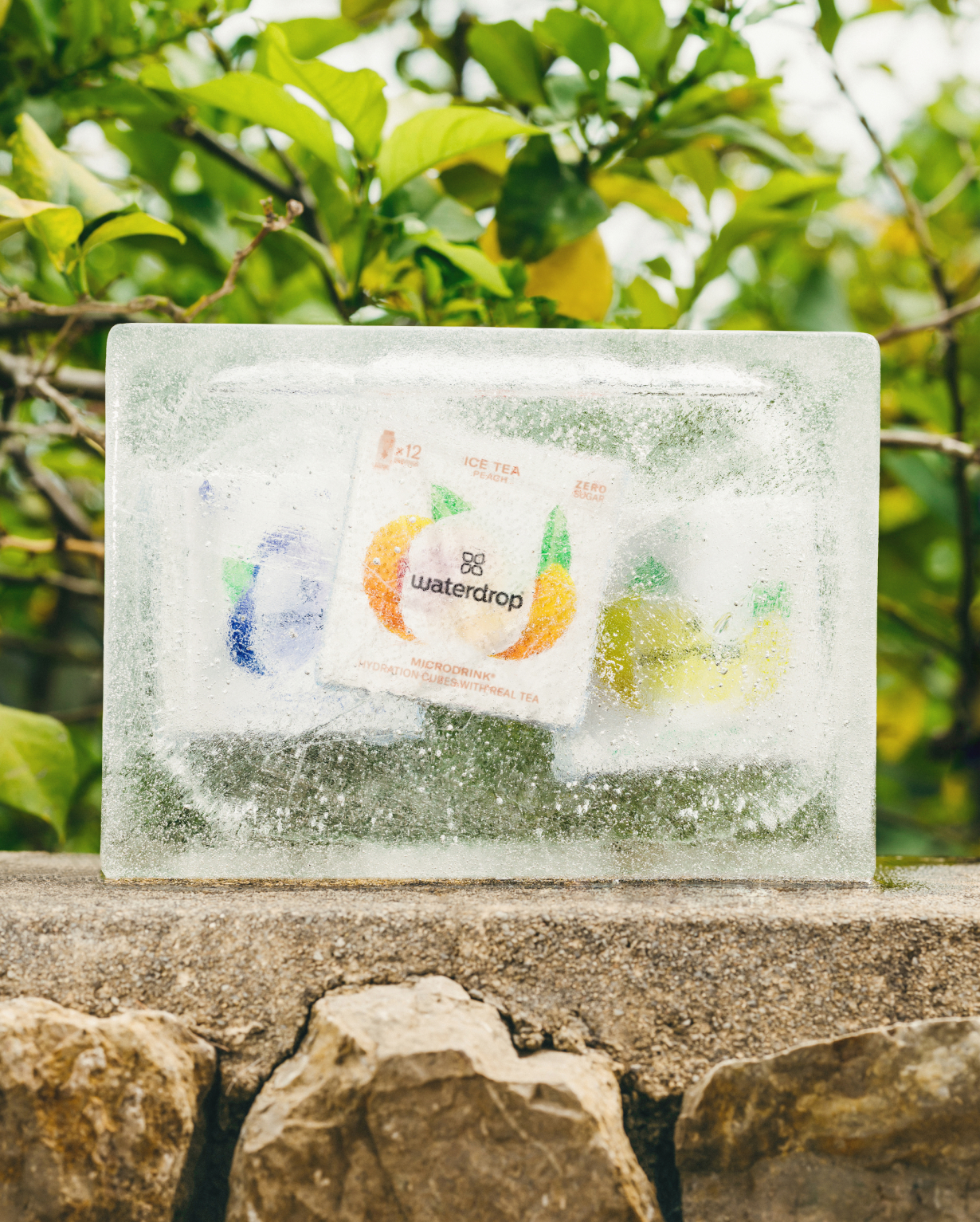 Double Pack THÉ GLACÉ