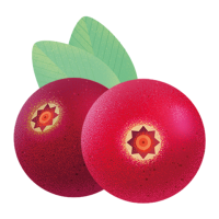 Deux airelles rouges avec des feuilles vertes.