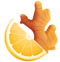 Illustration d'une racine de gingembre avec une tranche d'orange.