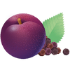 PRUNE ÉPICÉE · IMMUNITÉ