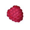 FRUITS ROUGES RECHARGE