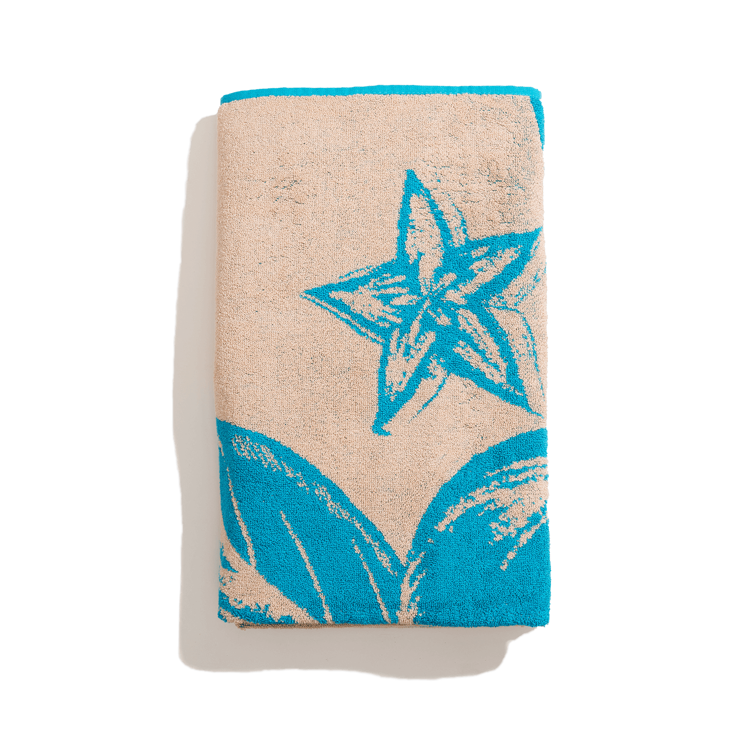Serviette de Plage